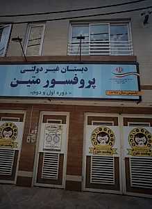 دبستان غیردولتی پسرانه پروفسور متین