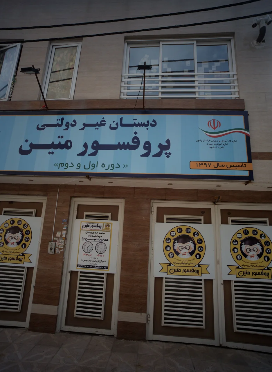 دبستان غیردولتی پسرانه پروفسور متین