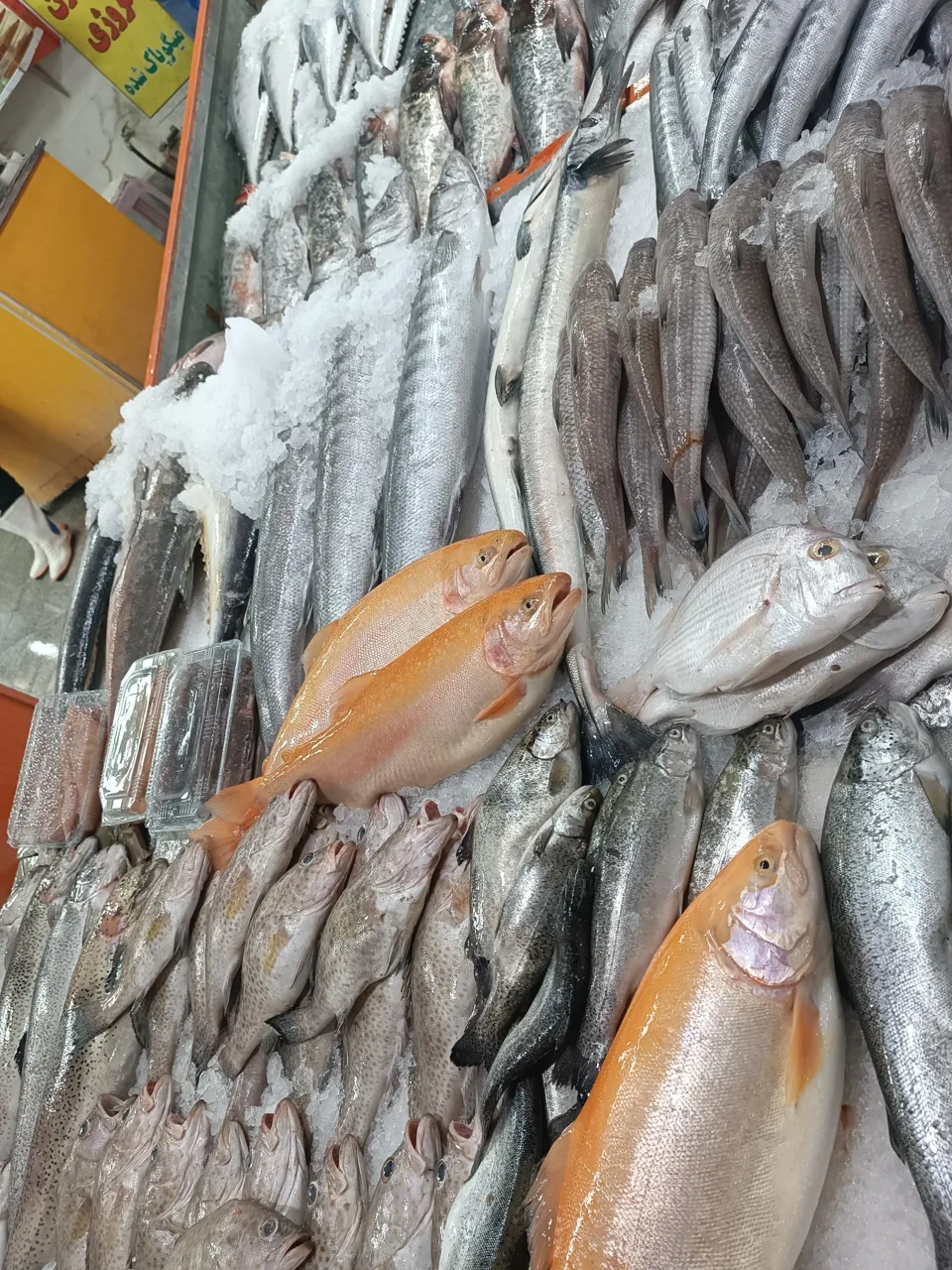 ماهی سرای ناخدا - گوشت، مرغ و پروتئینی در تهران - تصویر 5