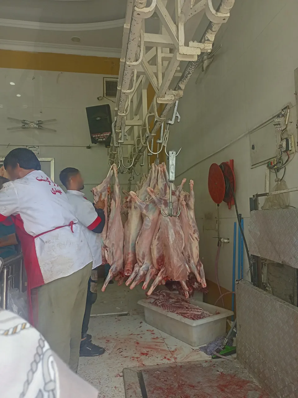 بازار گوشت مهدی - گوشت، مرغ و پروتئینی در تهران - تصویر 2