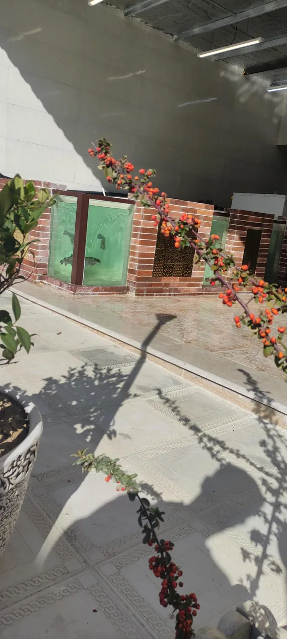 ماهی فروشی برکه - تصویر 6