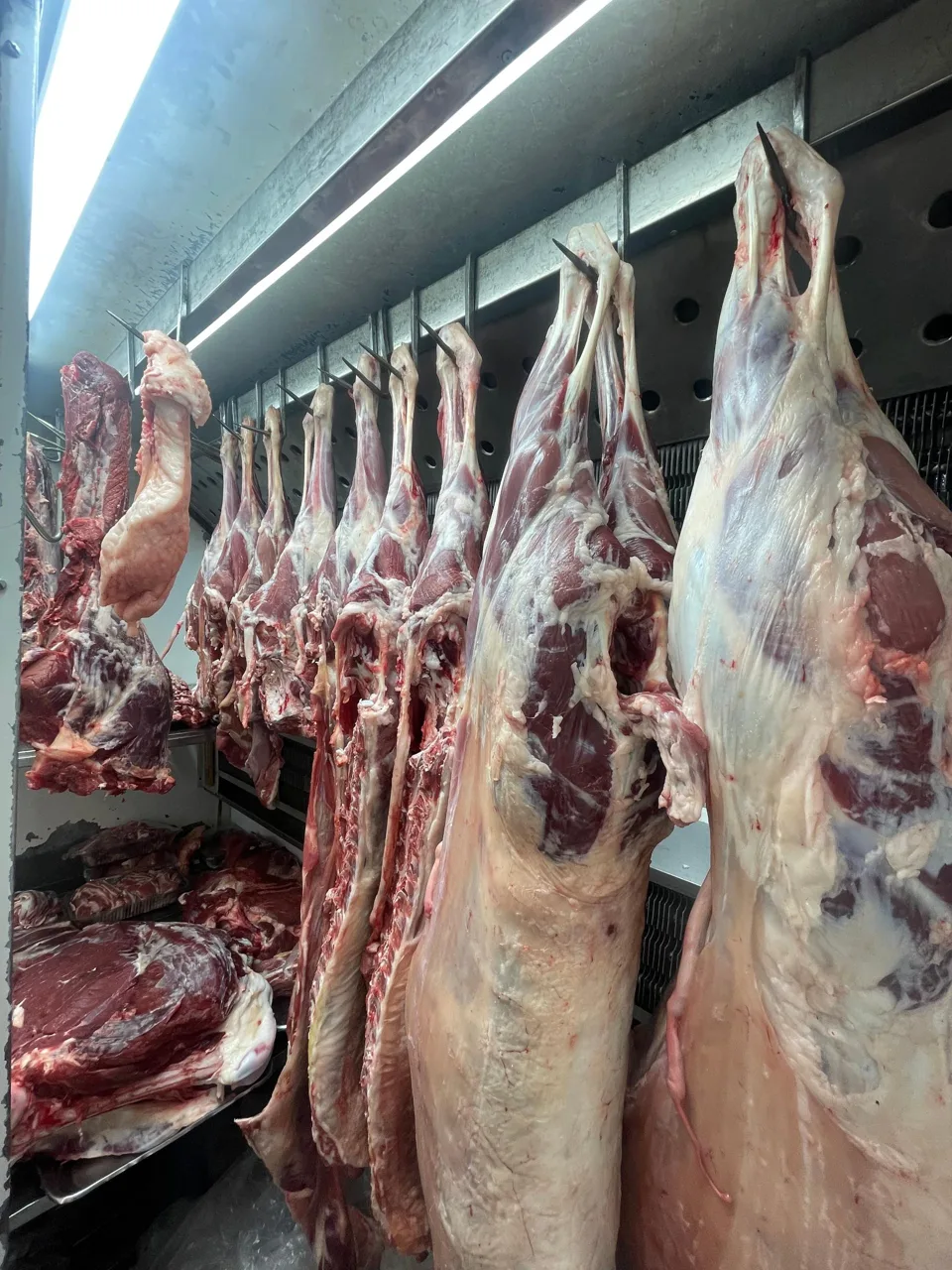 سوپرگوشت اسکندری - گوشت، مرغ و پروتئینی در تهران - تصویر 4
