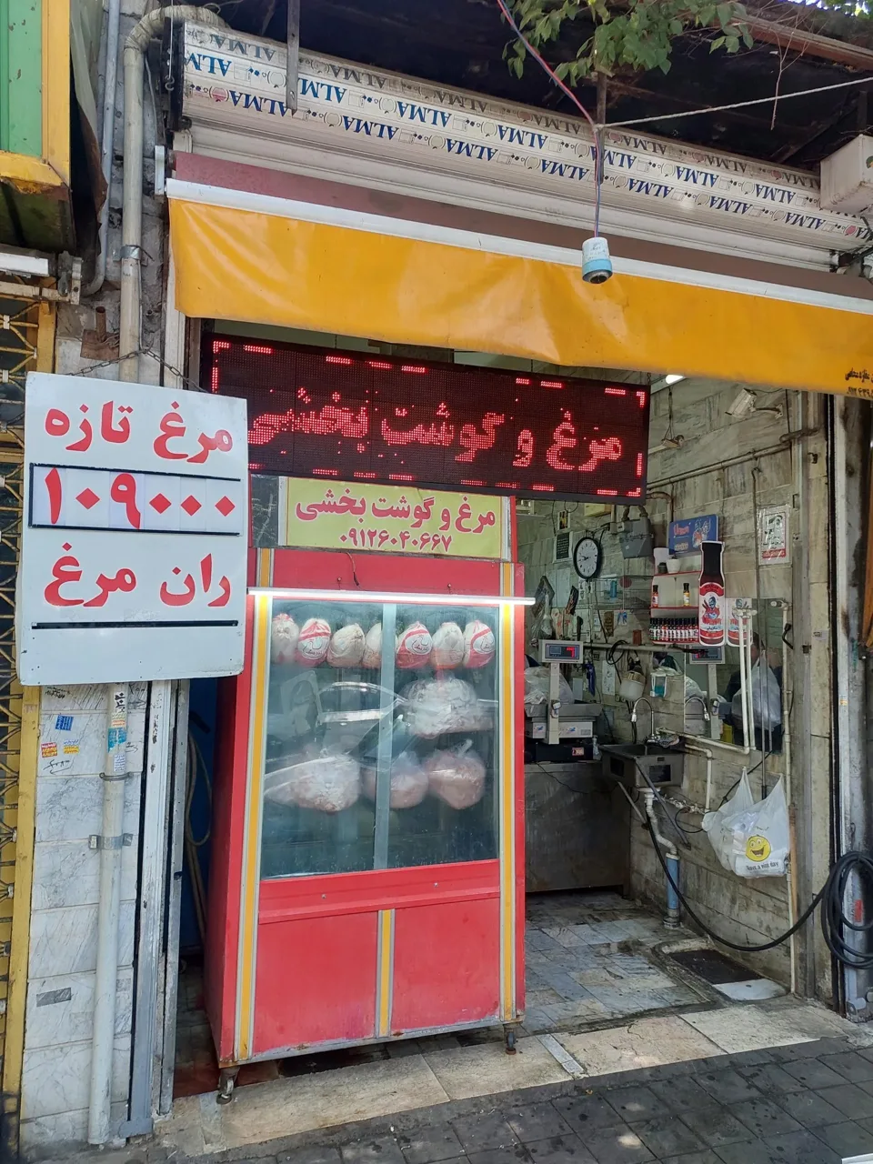 مرغ و گوشت بابک بخشی