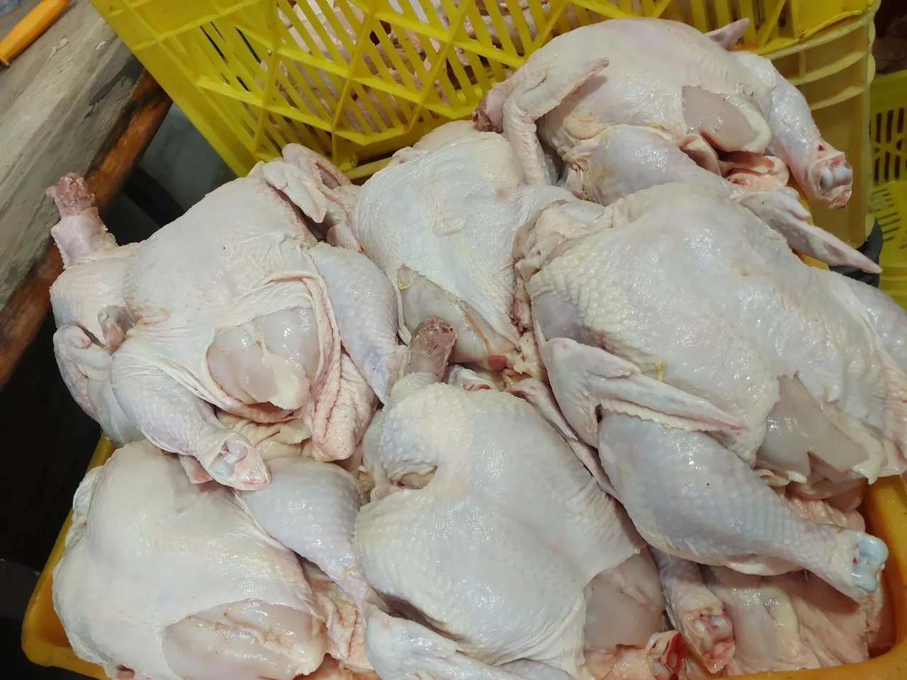 مرغ و گوشت بابک بخشی - گوشت، مرغ و پروتئینی در تهران - تصویر 4