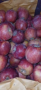 میوه فروشی فیروزه