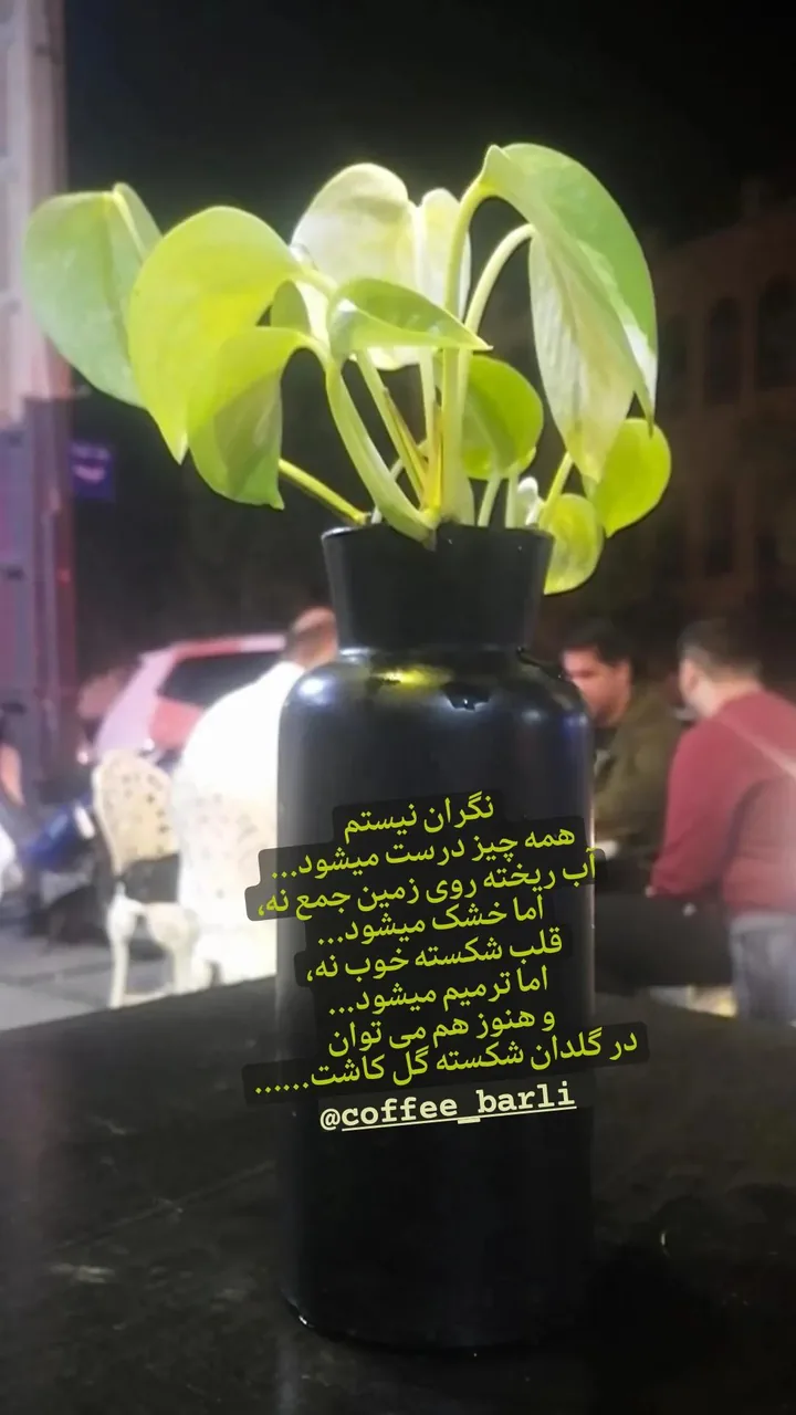 کافه و صبحانه خوری بارلی - تصویر 5