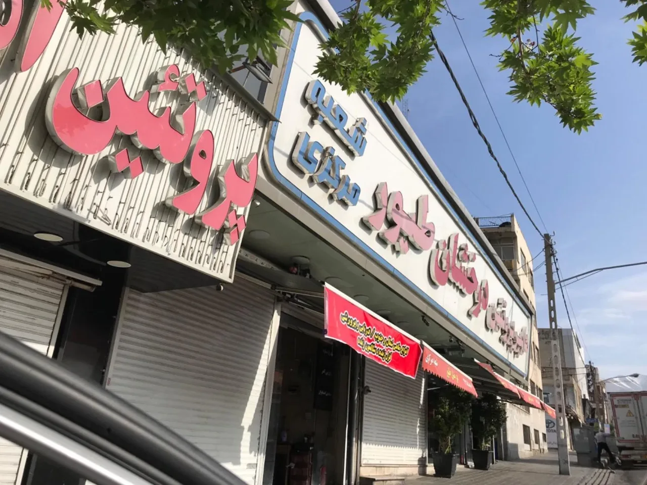 هایپر پروتئین درخشان طیور - تصویر 3