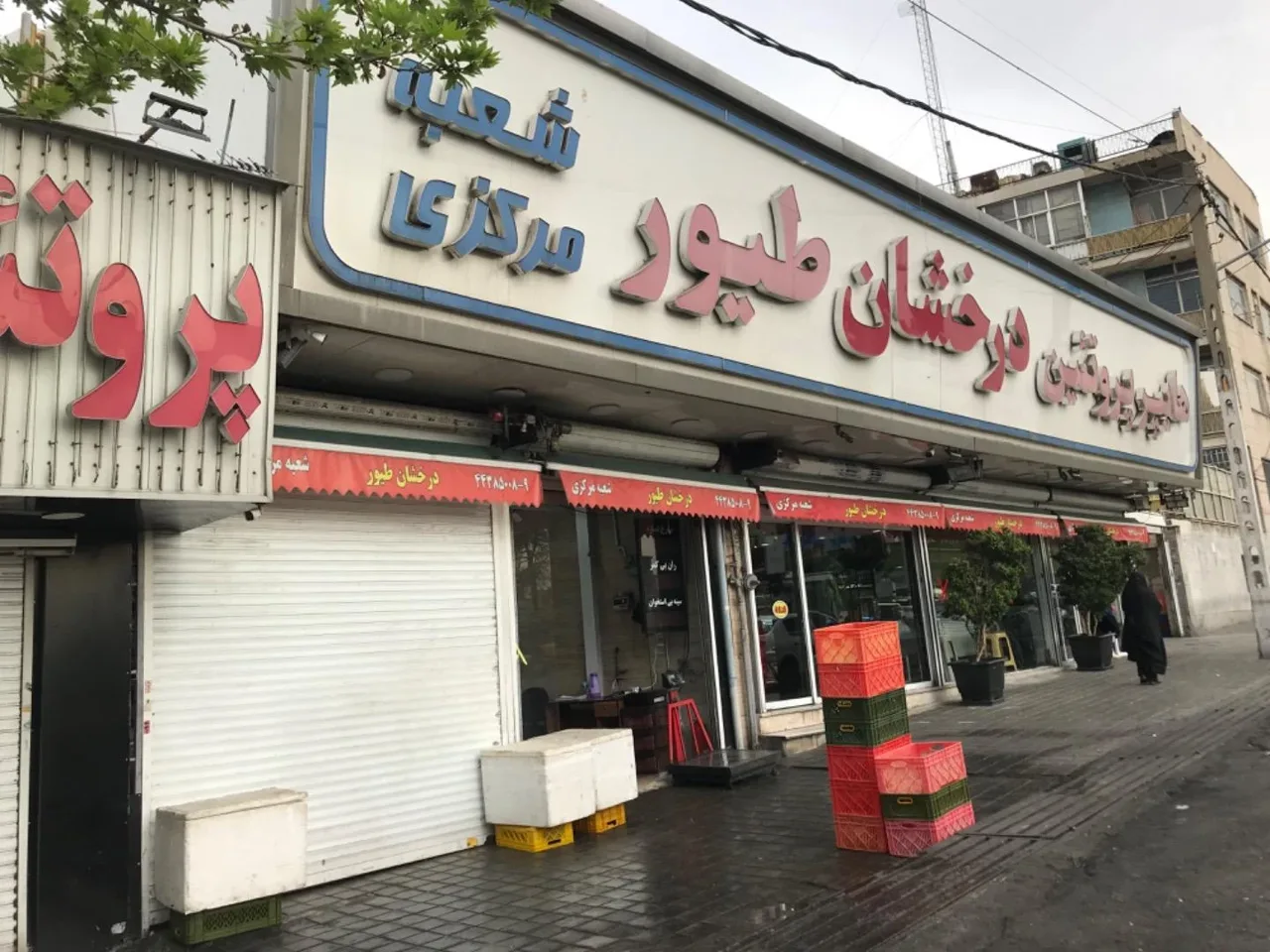 هایپر پروتئین درخشان طیور - تصویر 5