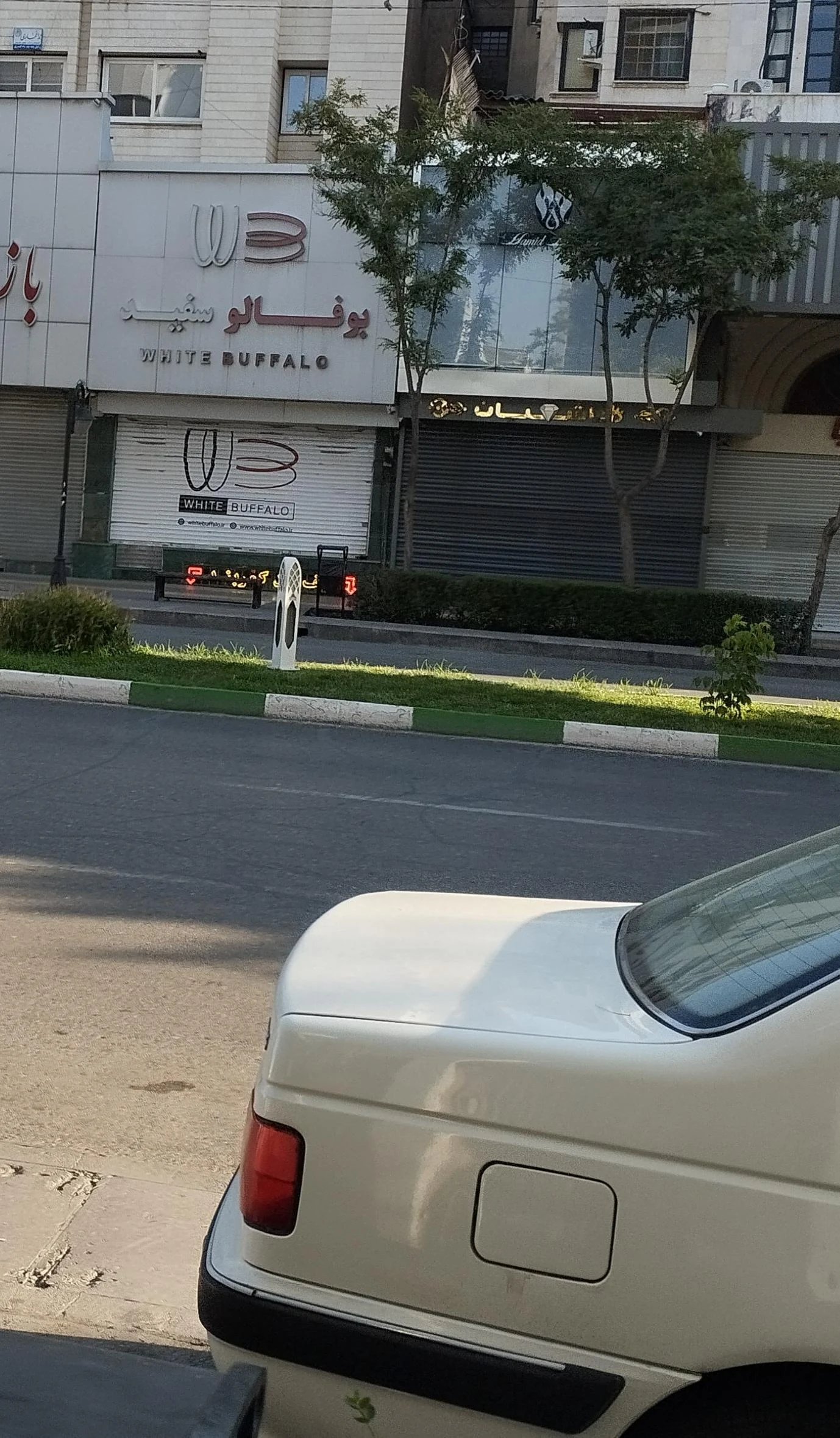 کیف و کفش بوفالو سفید - تصویر 2