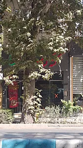 کته کبابی پونه