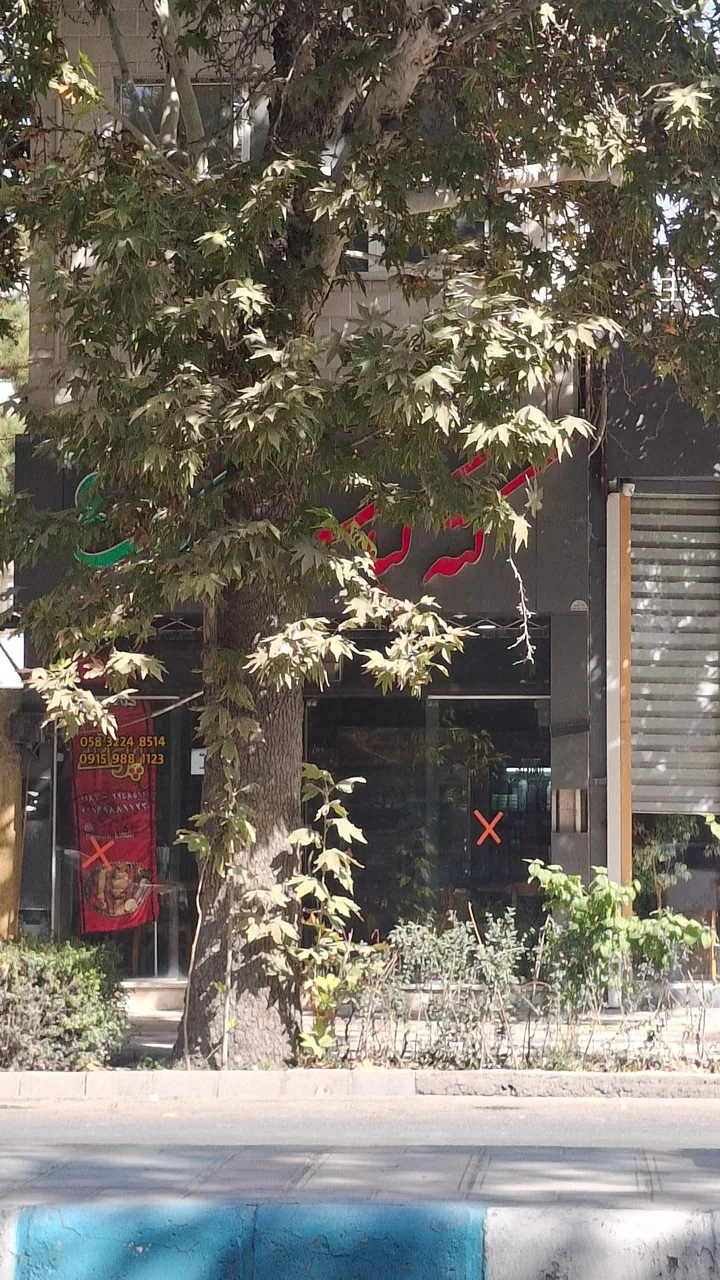کته کبابی پونه