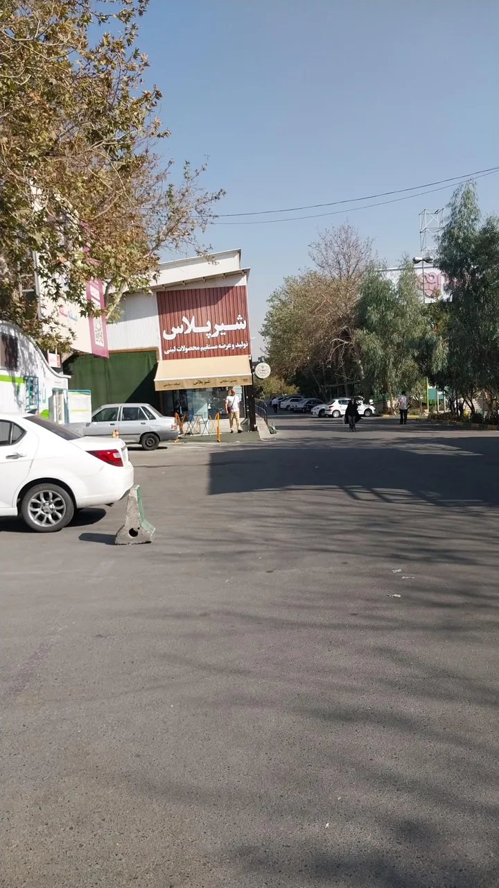 شیر پلاس - تصویر 2
