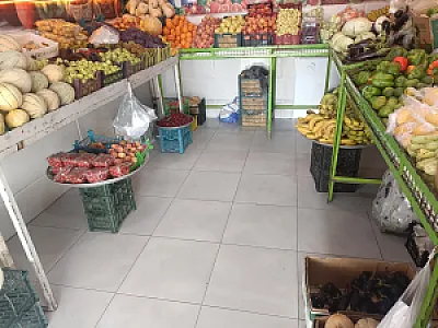 میوه فروشی قشقایی