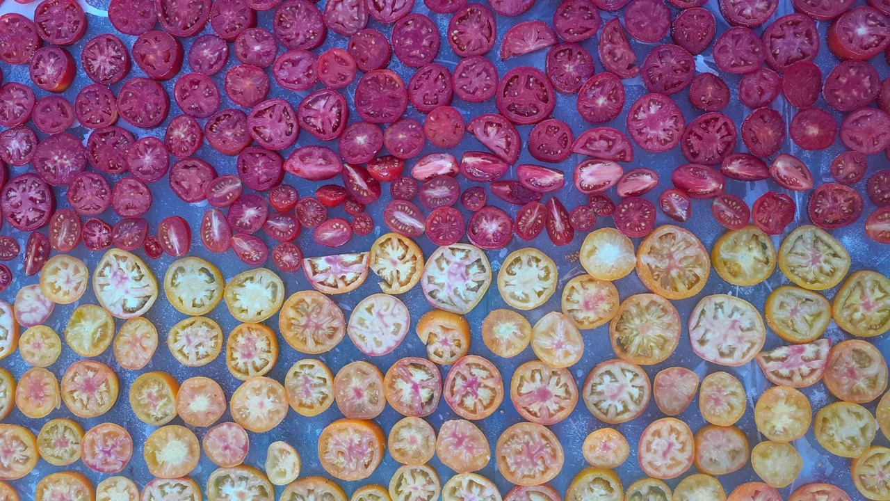 لبنیات ایمانی - تصویر 3