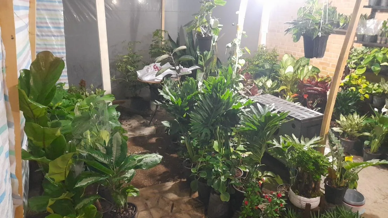 گلسرای بهشت - تصویر 2