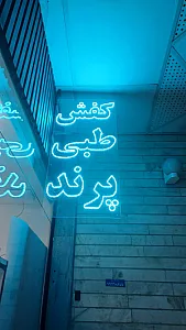 کفش طبی پرند