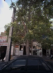 پخش نرم گام مقدم