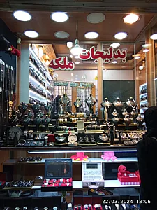 بدلیجات آرشیدا و آنوشا