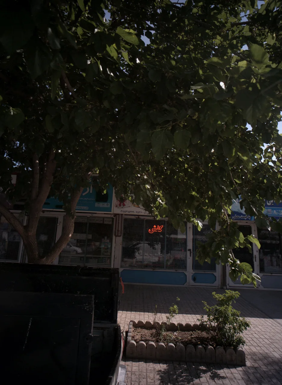 فروشگاه کفش