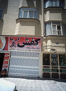 کفش آریا