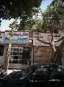 کفش ایده آل