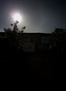 کفش گوهر