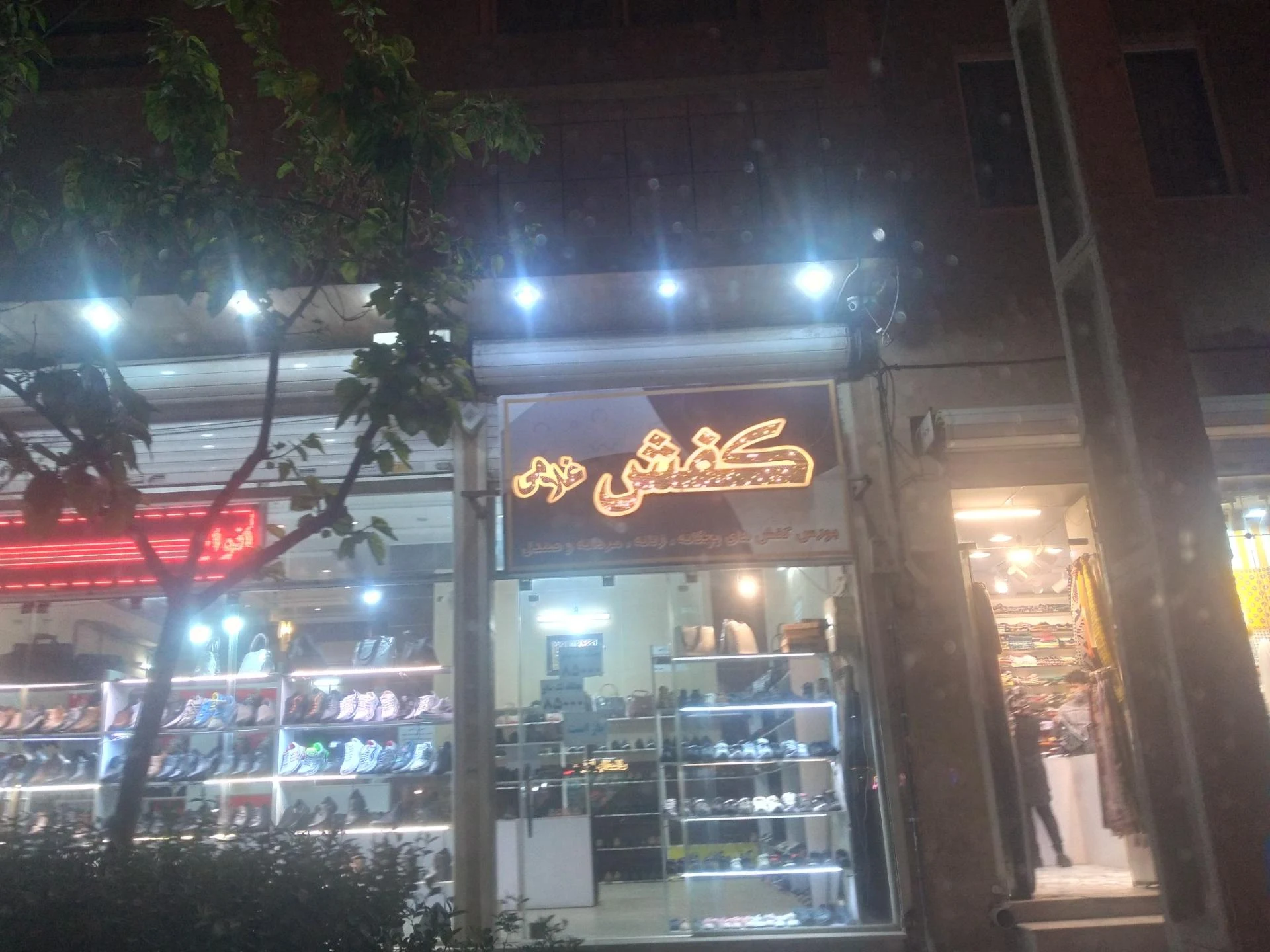 کفش پاناز - تصویر 3