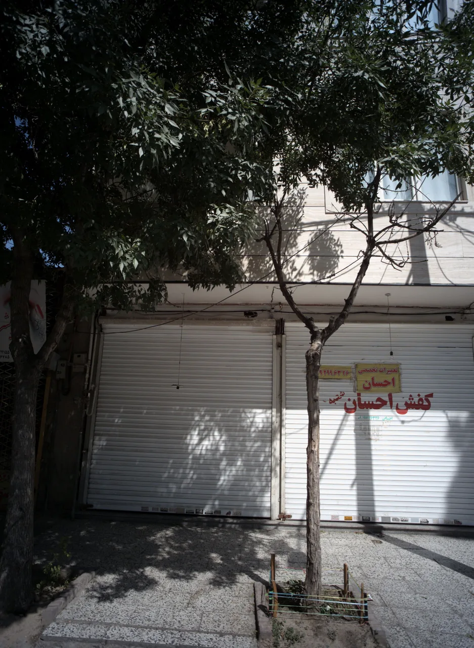 کفش احسان