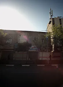 کفش طبی تبریز