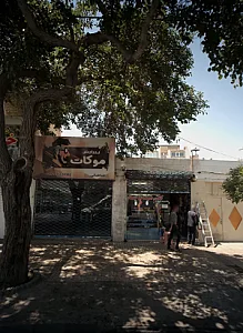 کفش شیک شایسته