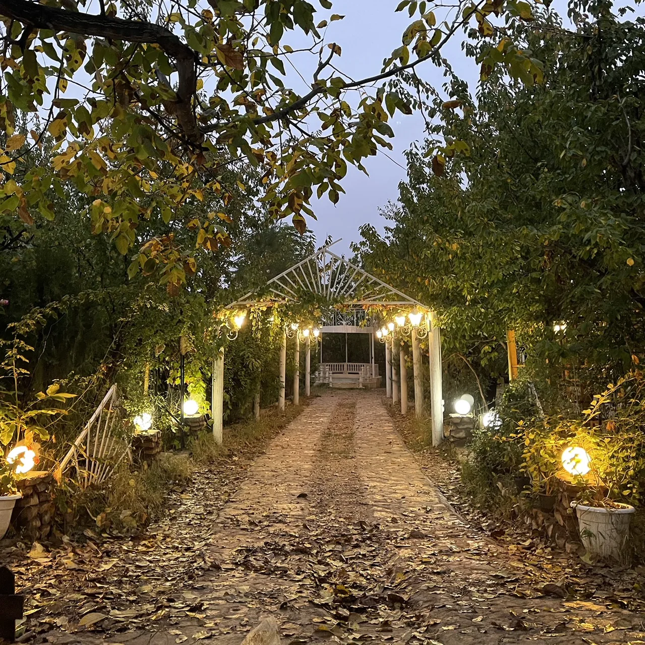 تالار و باغ عروس وصال - تصویر 5