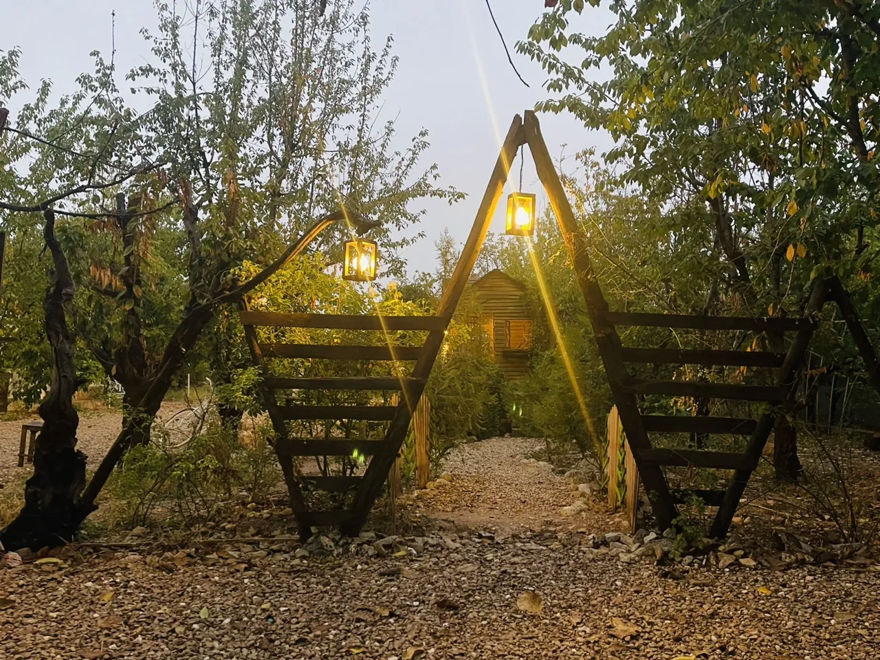 تالار و باغ عروس وصال - تصویر 6