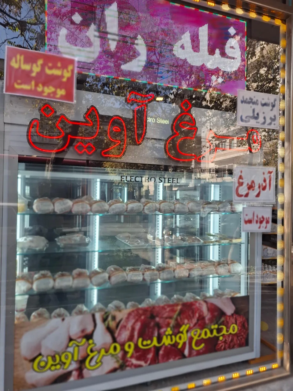 مرغ آوین