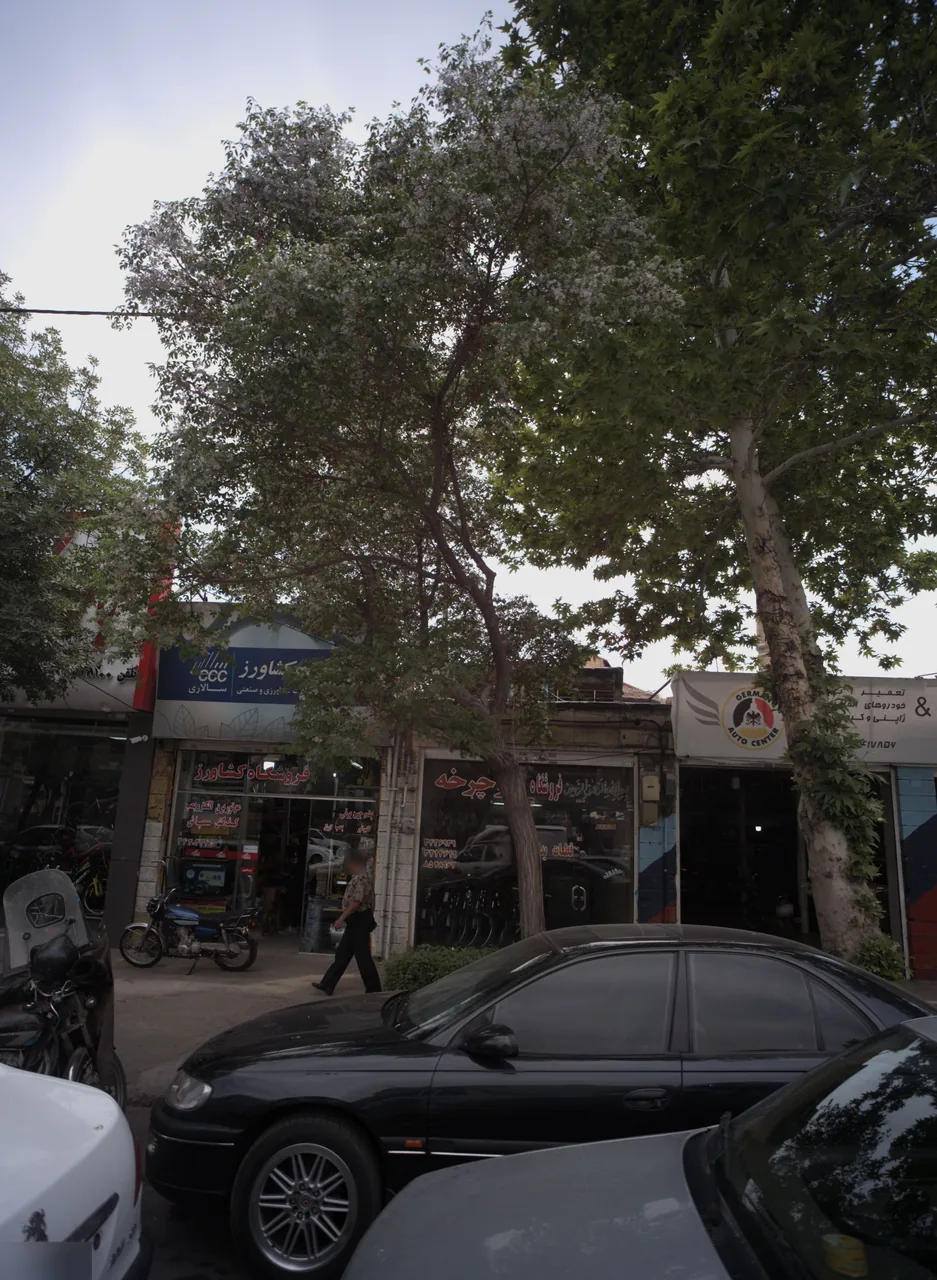 فروشگاه دوچرخه ایران دوچرخ