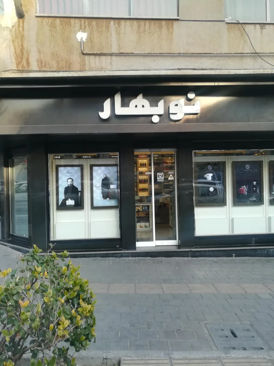 عطر نوبهار - تصویر 2