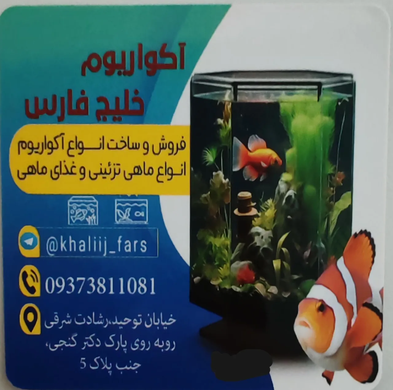 آکواریوم خلیج فارس - تصویر 3