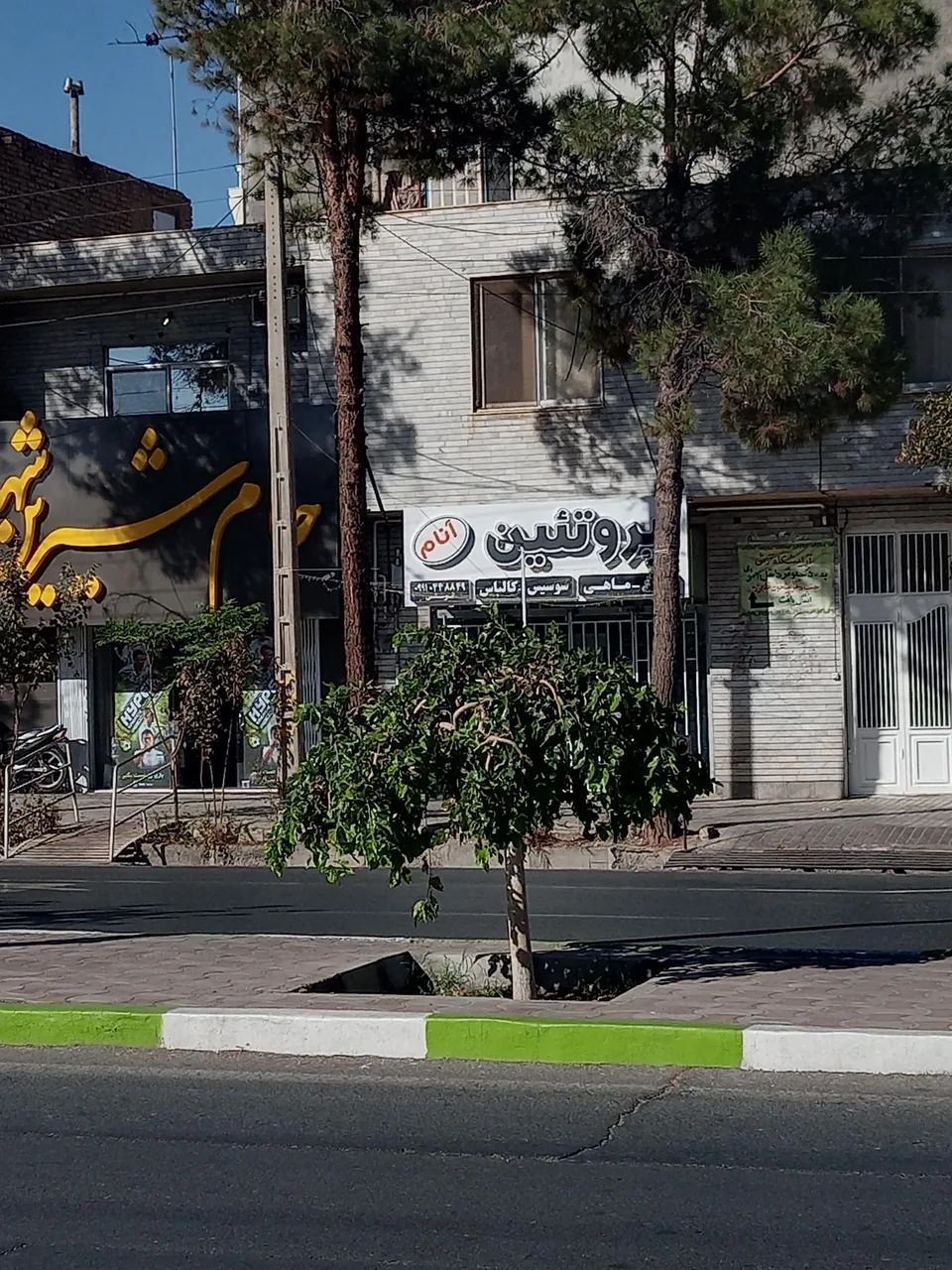 فروشگاه پروتینی آنام - تصویر 2