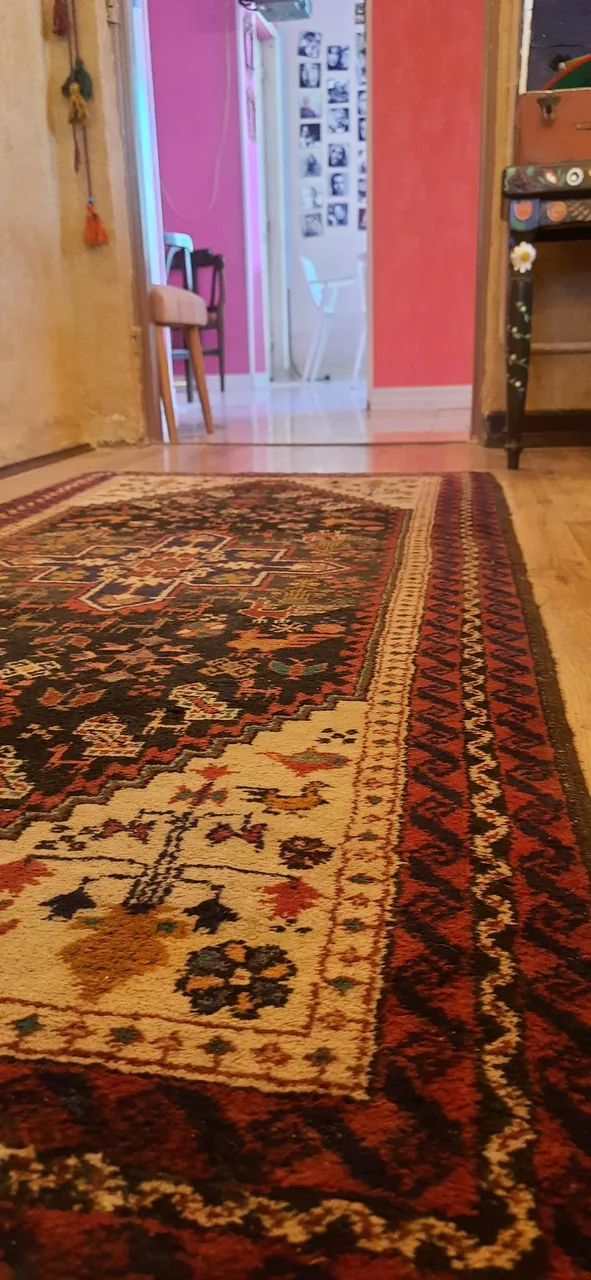 خانه ققنوس - تصویر 5