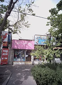 اسباب بازی ارکیده