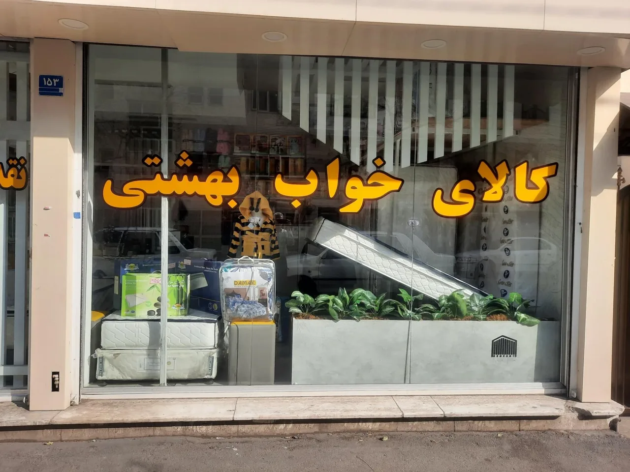 تشک رویا - تصویر 3