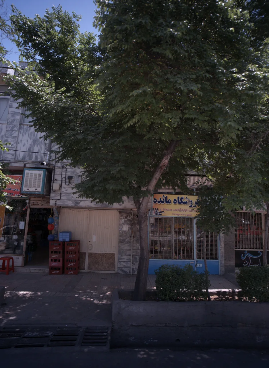 فروشگاه مائده