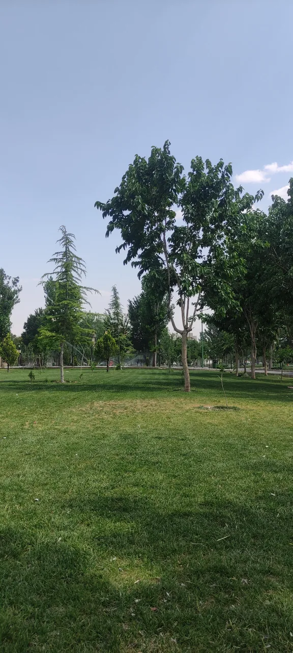 رستوران آبشار - تصویر 2
