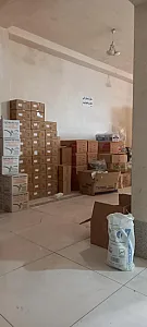 پخش آوین