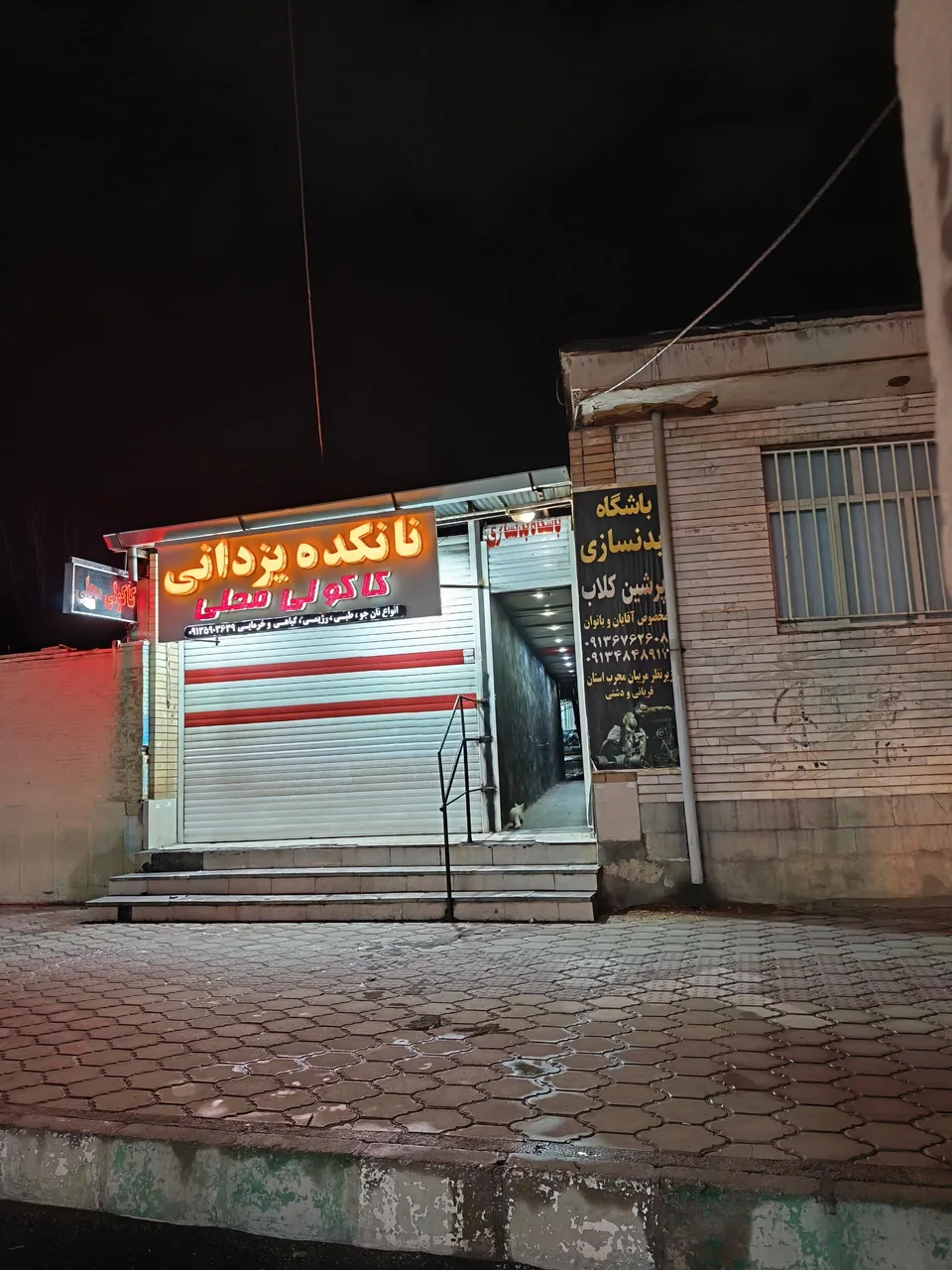 نانکده یزدانی - تصویر 3