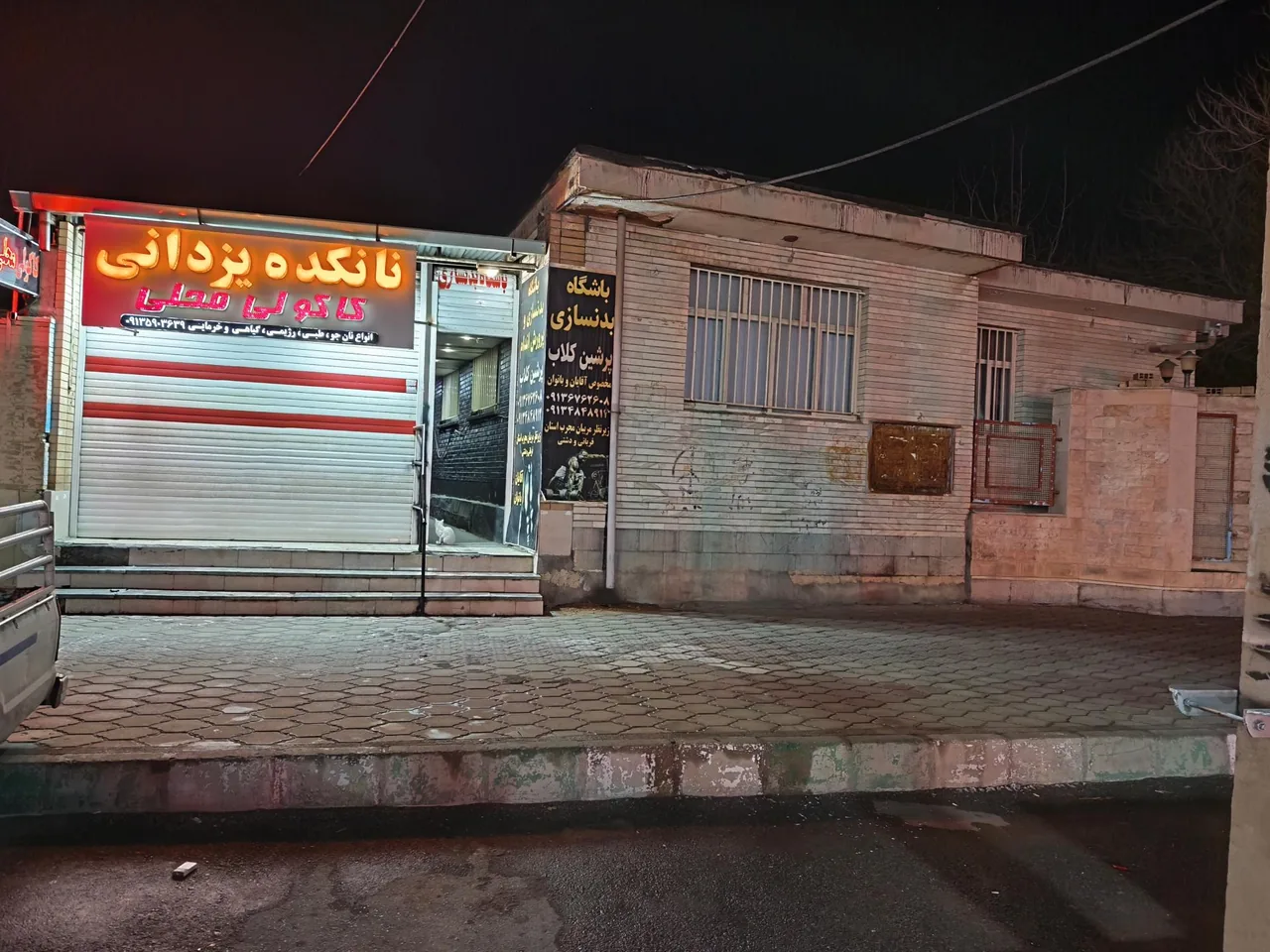 نانکده یزدانی - تصویر 4