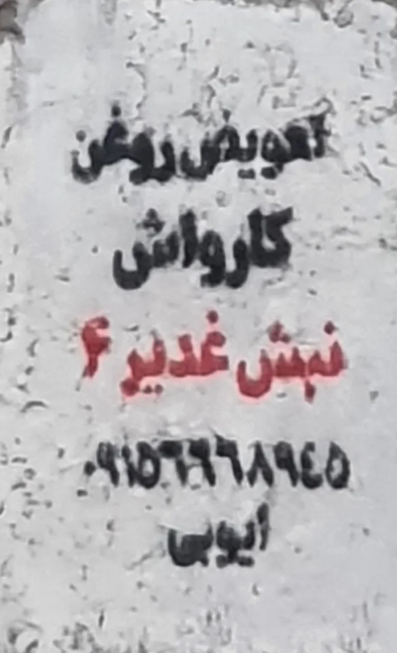 کارواش غدیر - تصویر 2