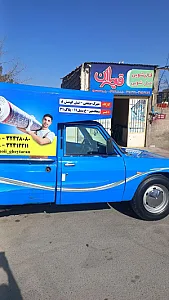قالیشویی قیطران