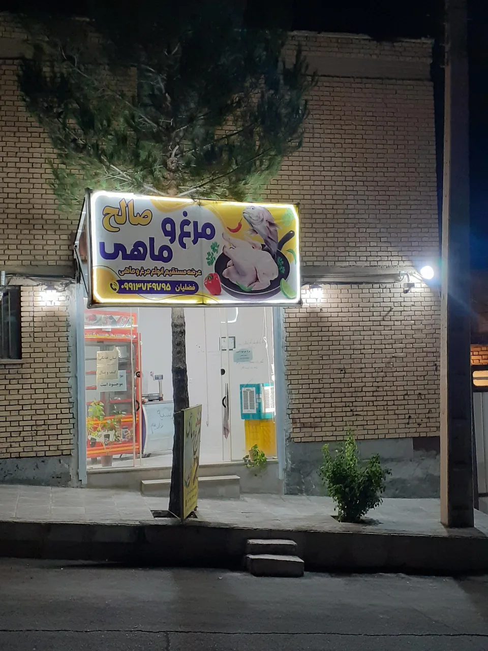 مرغ و ماهی صالح