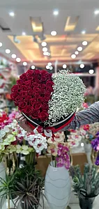 گل فروشی گل نرگس