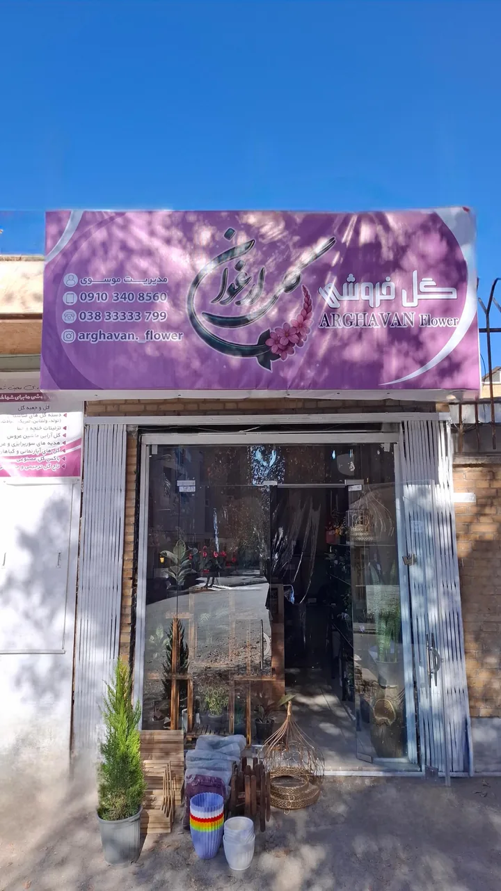 گلفروشی گل ارغوان - تصویر 2